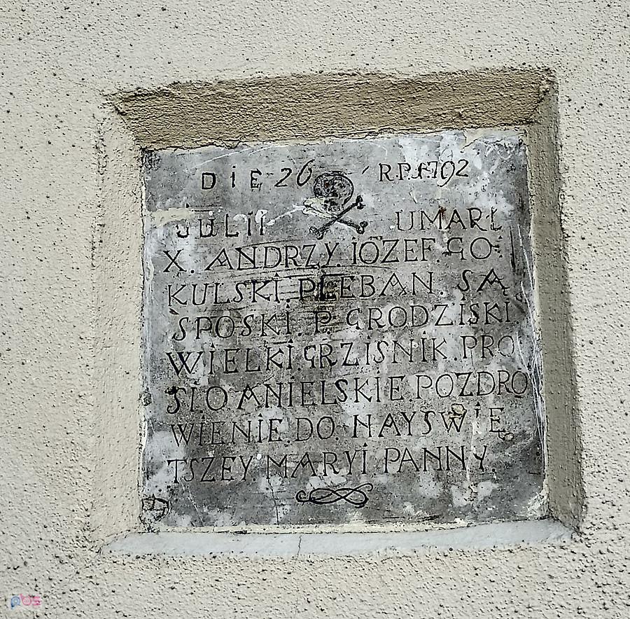 Sąspów czaszka numer jeden :)