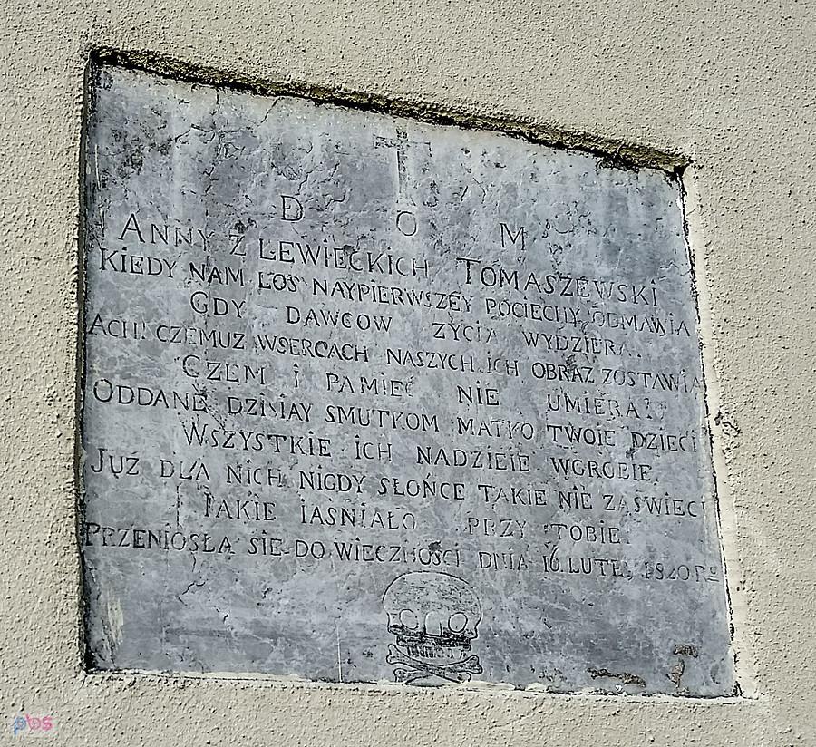 Sąspów czaszka numer dwa :)