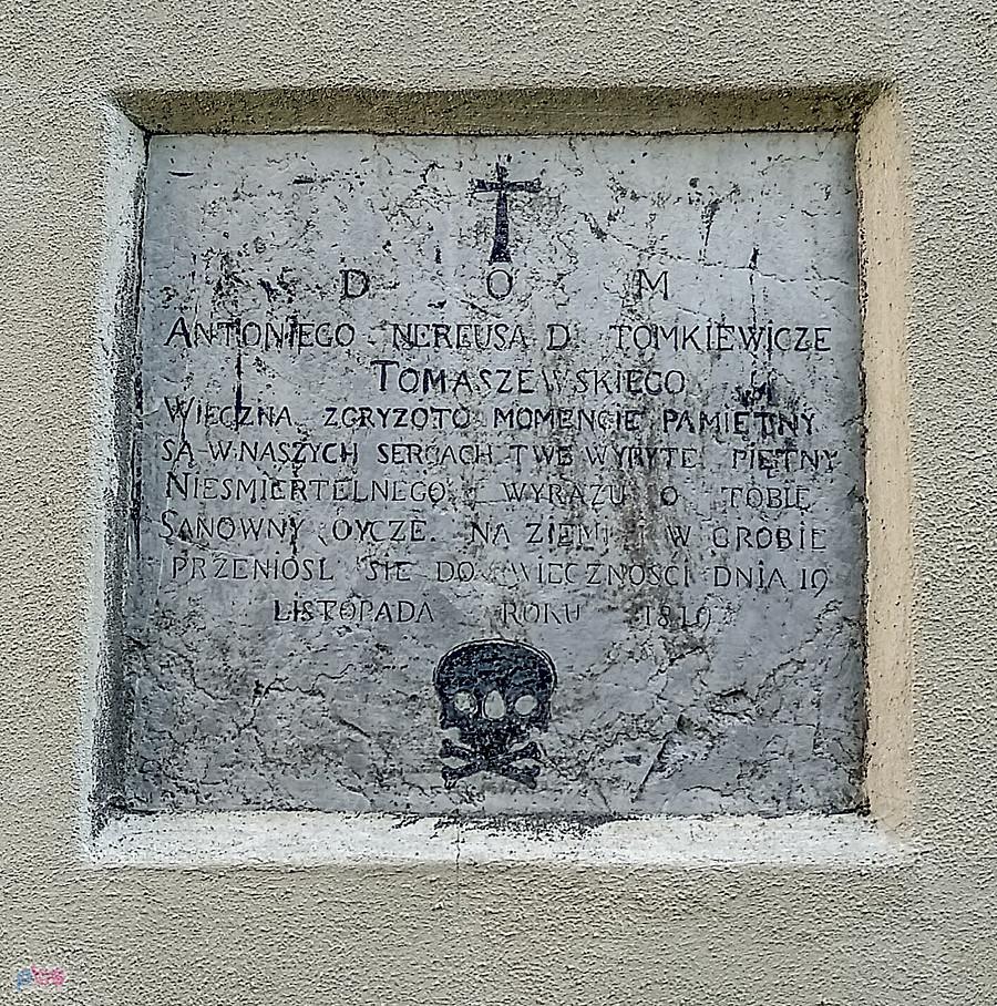 Sąspów czaszka numer trzy :)