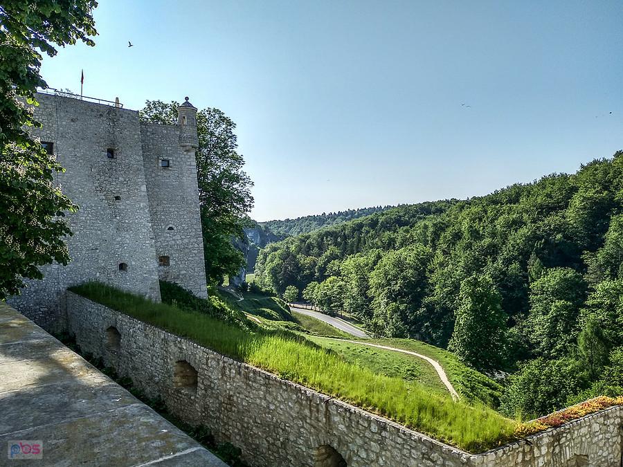 Widok z zamku
