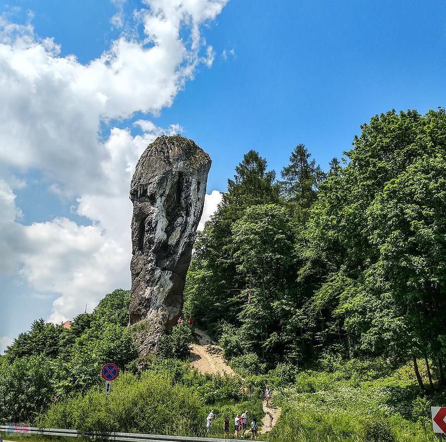 Maczuga Herkulesa