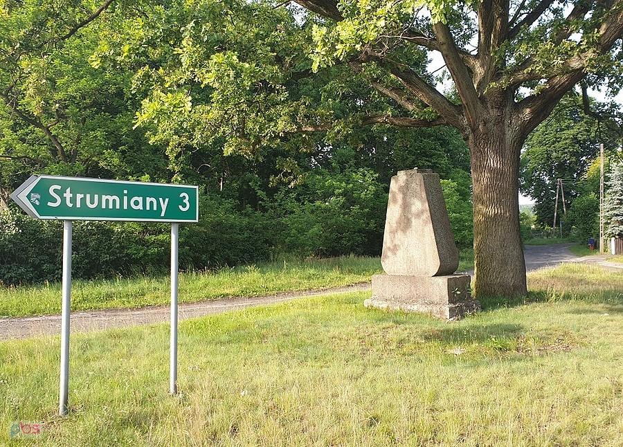 SOWNO (niem.Hinzendorf) Pomnik poświęcony mieszkańcom wsi poległym w I wojnie światowej.