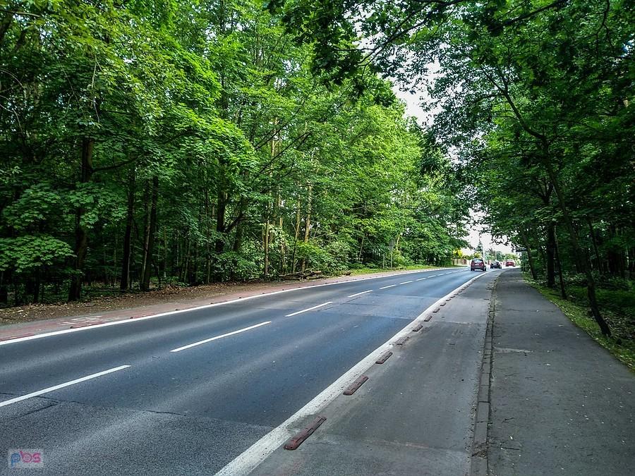 Przed Kochłowicami
