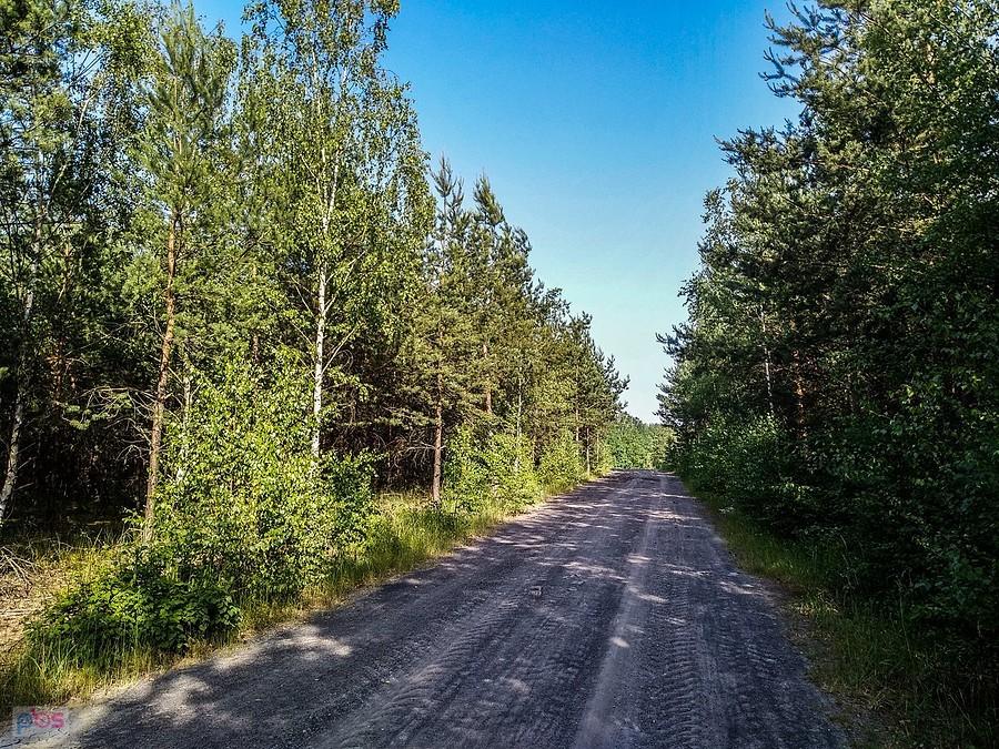 Na starej hałdzie w Makoszowach