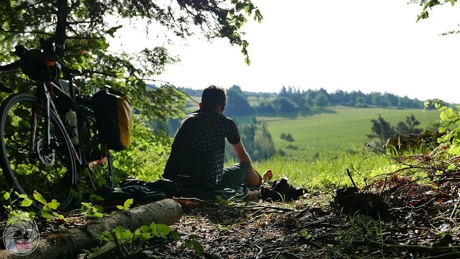 poranek nad łąkami