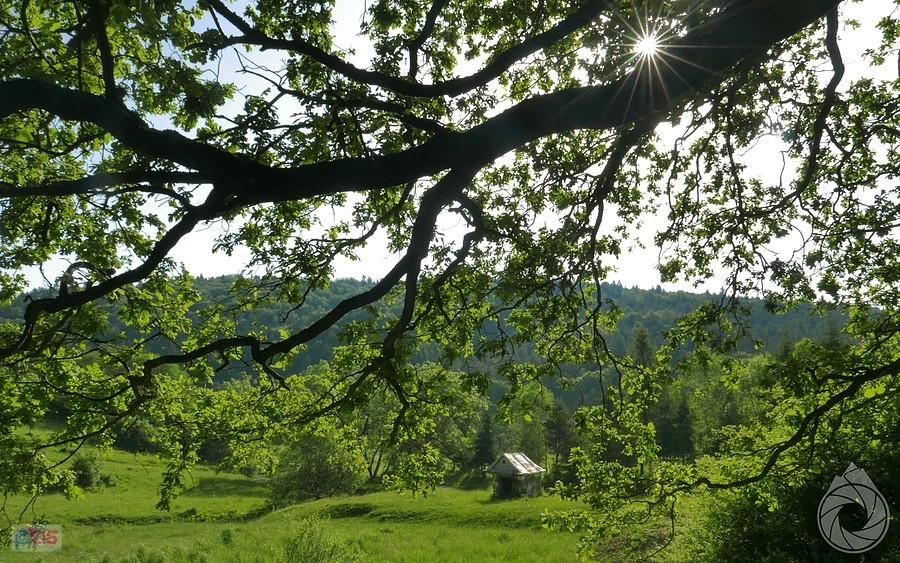 kapliczkana rozstaju dróg na Nieznajową