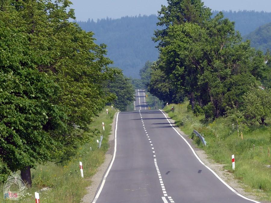 prosta konieczańsko-zdyńska nie jest taka prosta