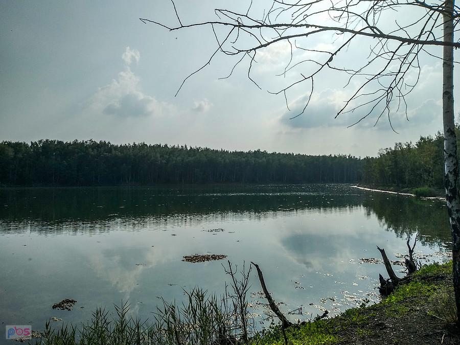 Staw przy hałdzie na Sośnicy