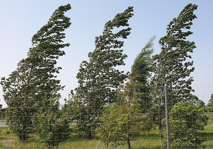 Tak wiało wzdłuż S 10