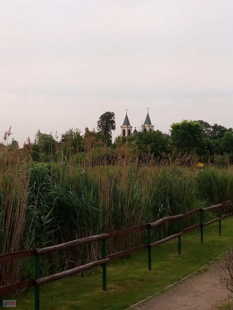 W Borzęcinie