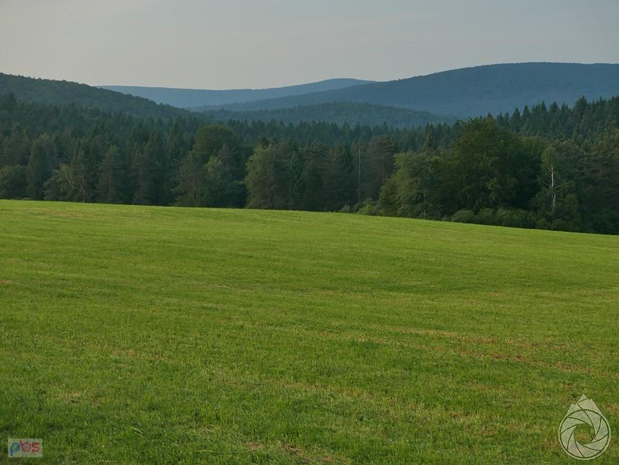 Czarne po sianokosach
