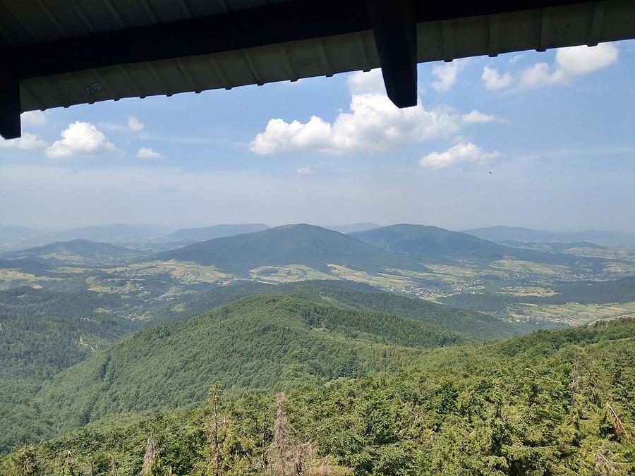 Widok z wieży widokowej