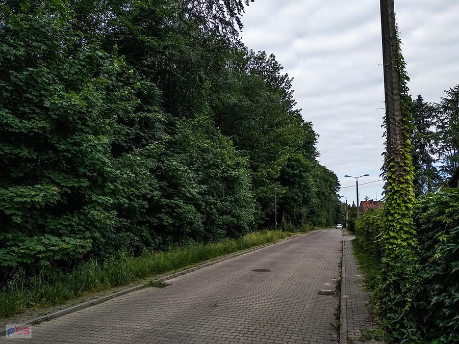 Przy lasku Makoszowskim