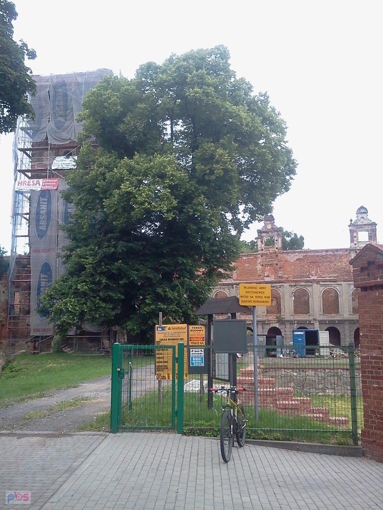 Remont w pałacu w Tworkowie