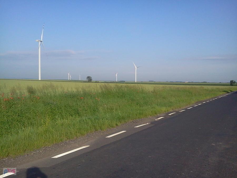 Wśród wiatraków