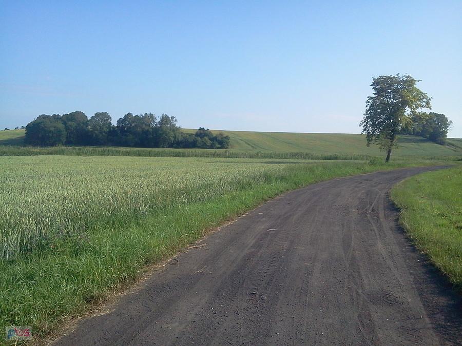 Pietrowice Wielkie wzgórze