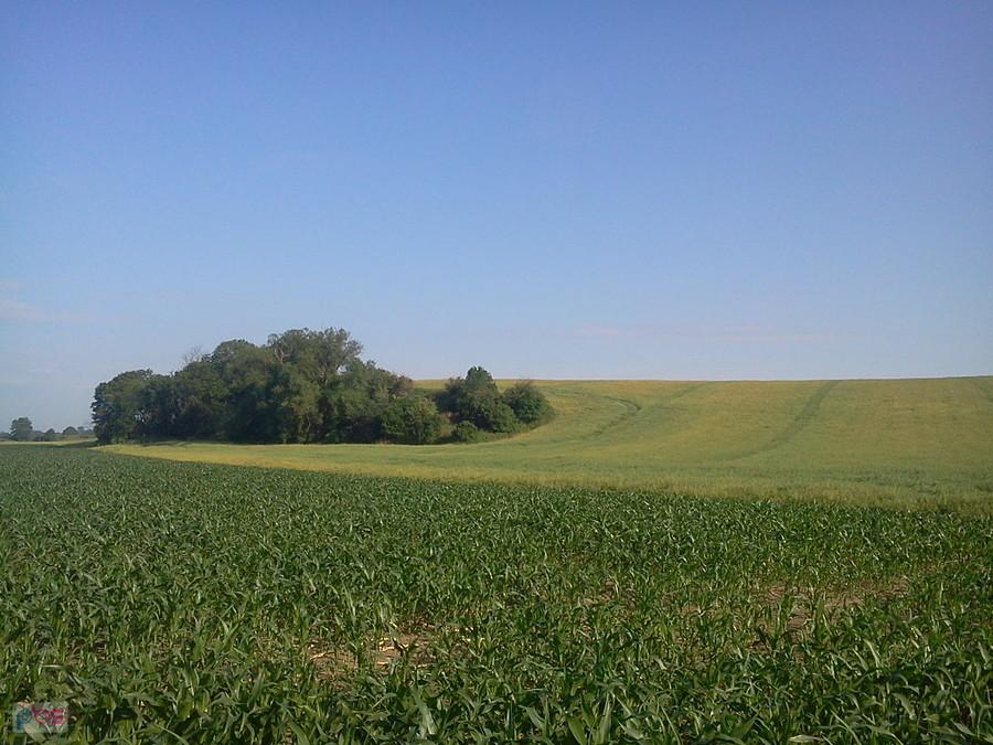 Tam właśnie ma być ten rondel neolityczny