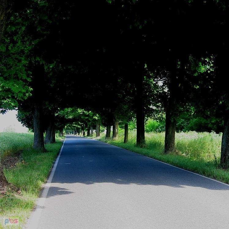 Mówią, że w tunelu jest jasność