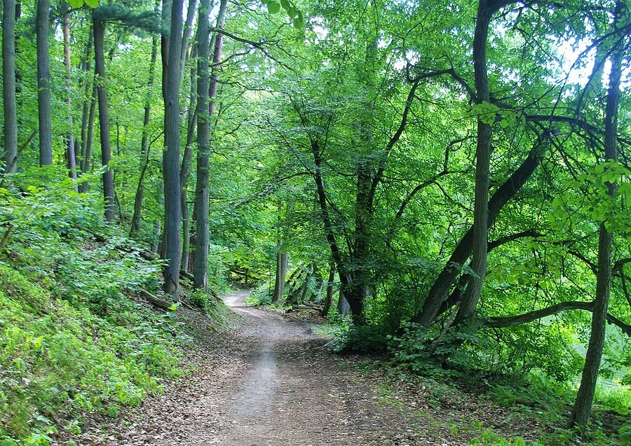 Wielkopolskie Szlaki - WPN
