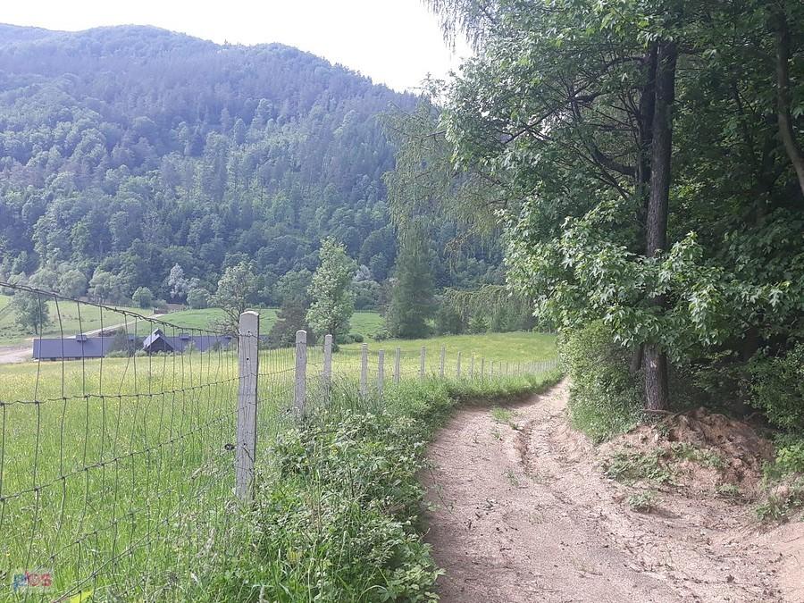 zjazd w nieznane