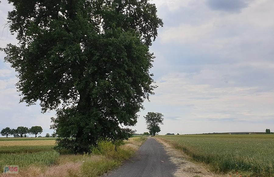 Żużlówka łącząca Lipnik z Golczewem