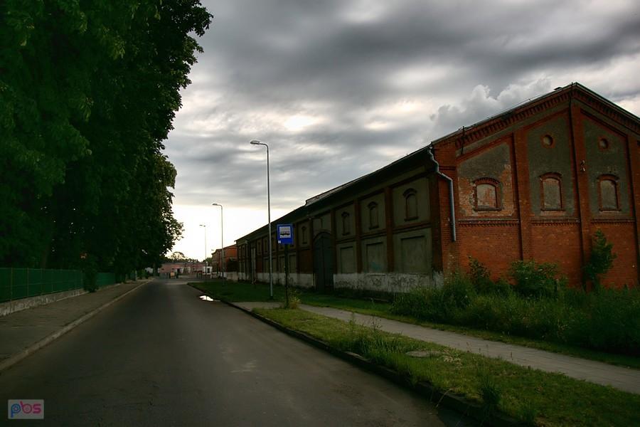w Strzyżnie