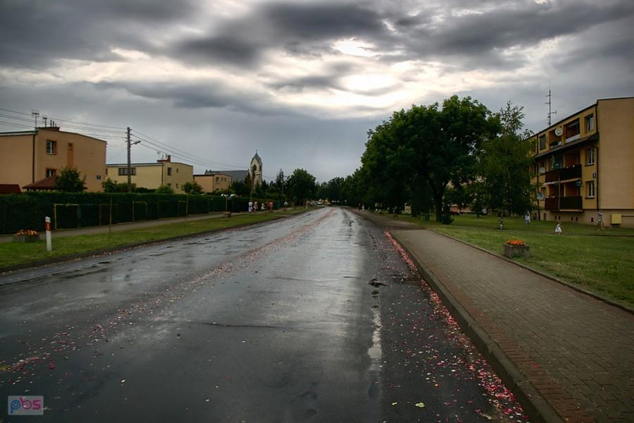 Witkowo przywitało mnie kwiatowym dywanem :)