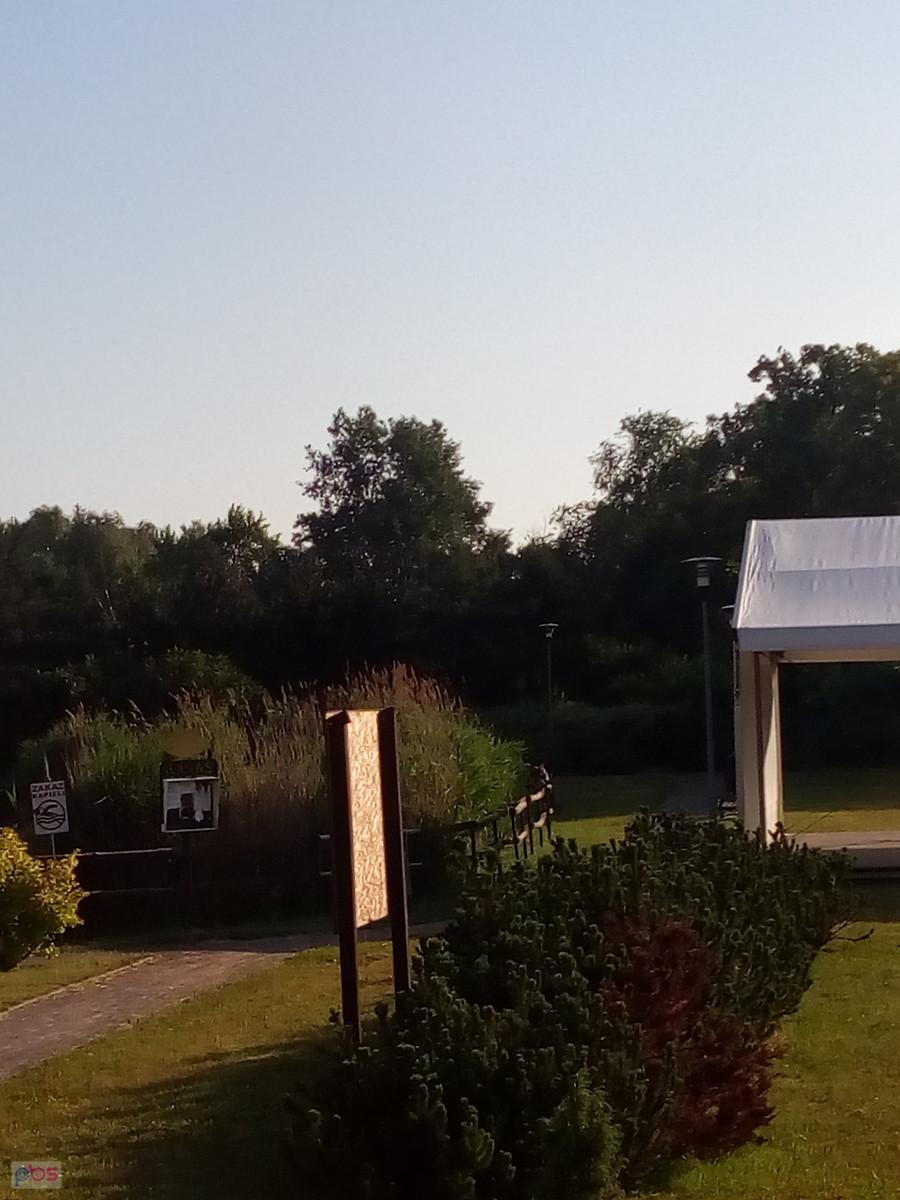 Coś się będzie działo nad stawem
