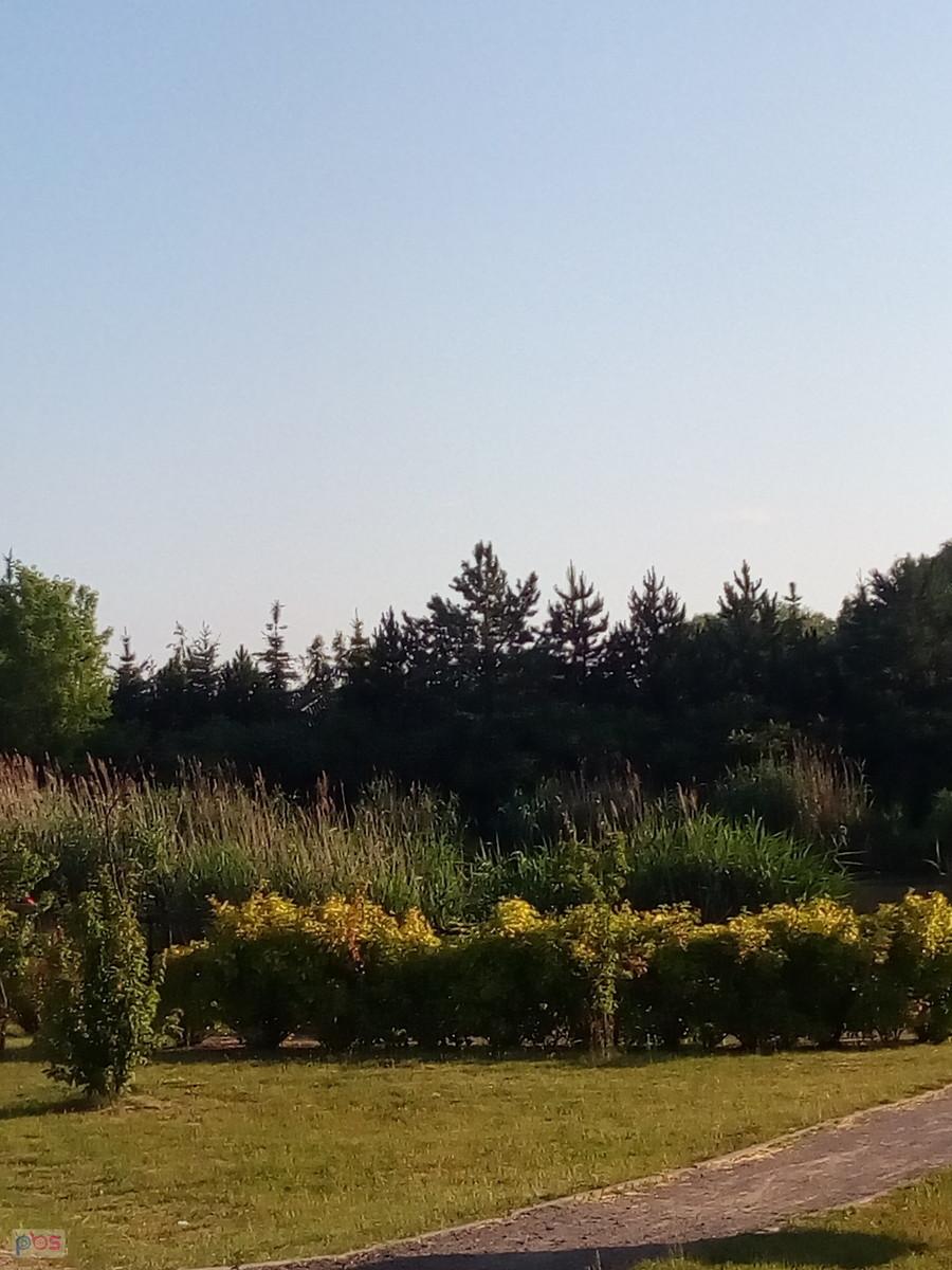 I tradycyjnie staw, chociaż wody na tym zdjęciu chyba nie widać