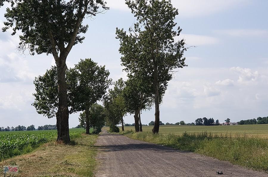 Żużlówka do Kurcewa