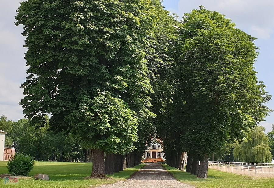 Wójcin (niem. Waitendorf) Dwór z 1819 roku