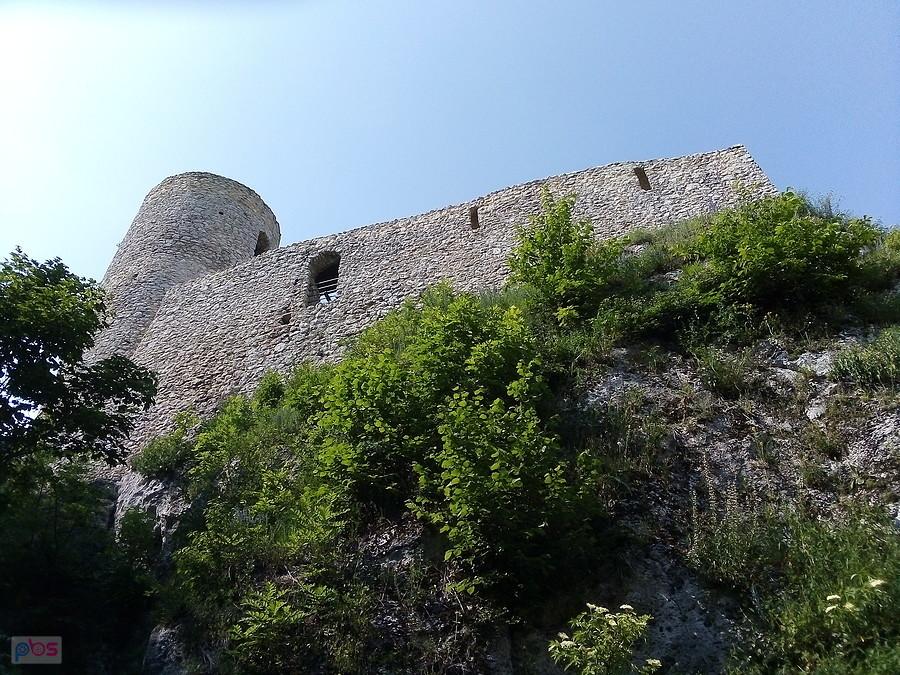 Zamek Pilcza