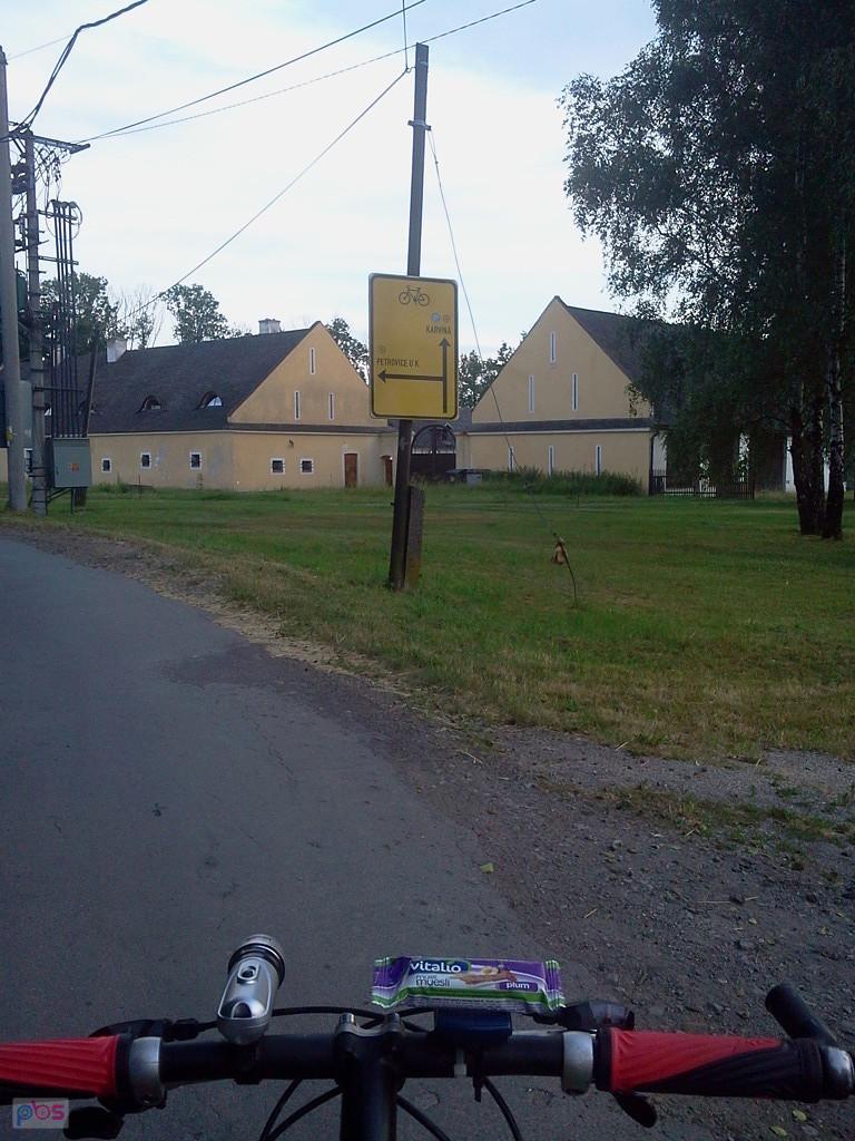 Osiny przed Karwiną