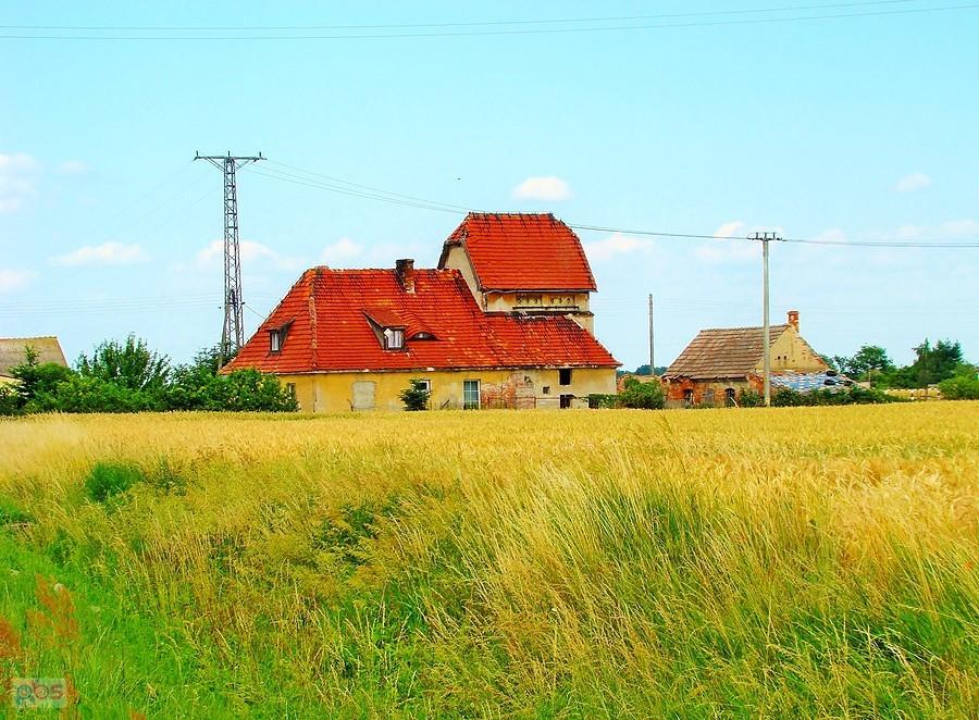 Ciekawy dom w Buczach I
