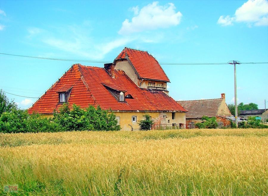 Ciekawy dom w Buczach II