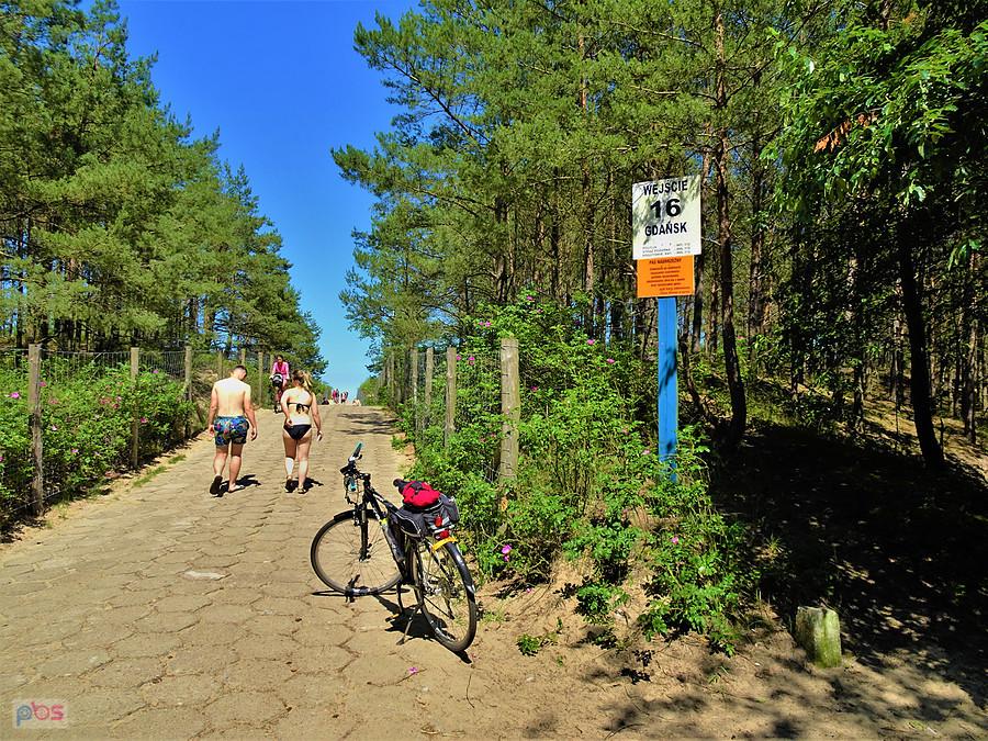 Wyspa Sobieszewska z AGR -Tczew. Jesteśmy na miejscu. Wejście na plaże.
