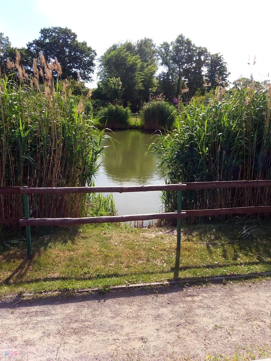 Staw w Borzęcinie to obowiązkowy punkt przejazdu