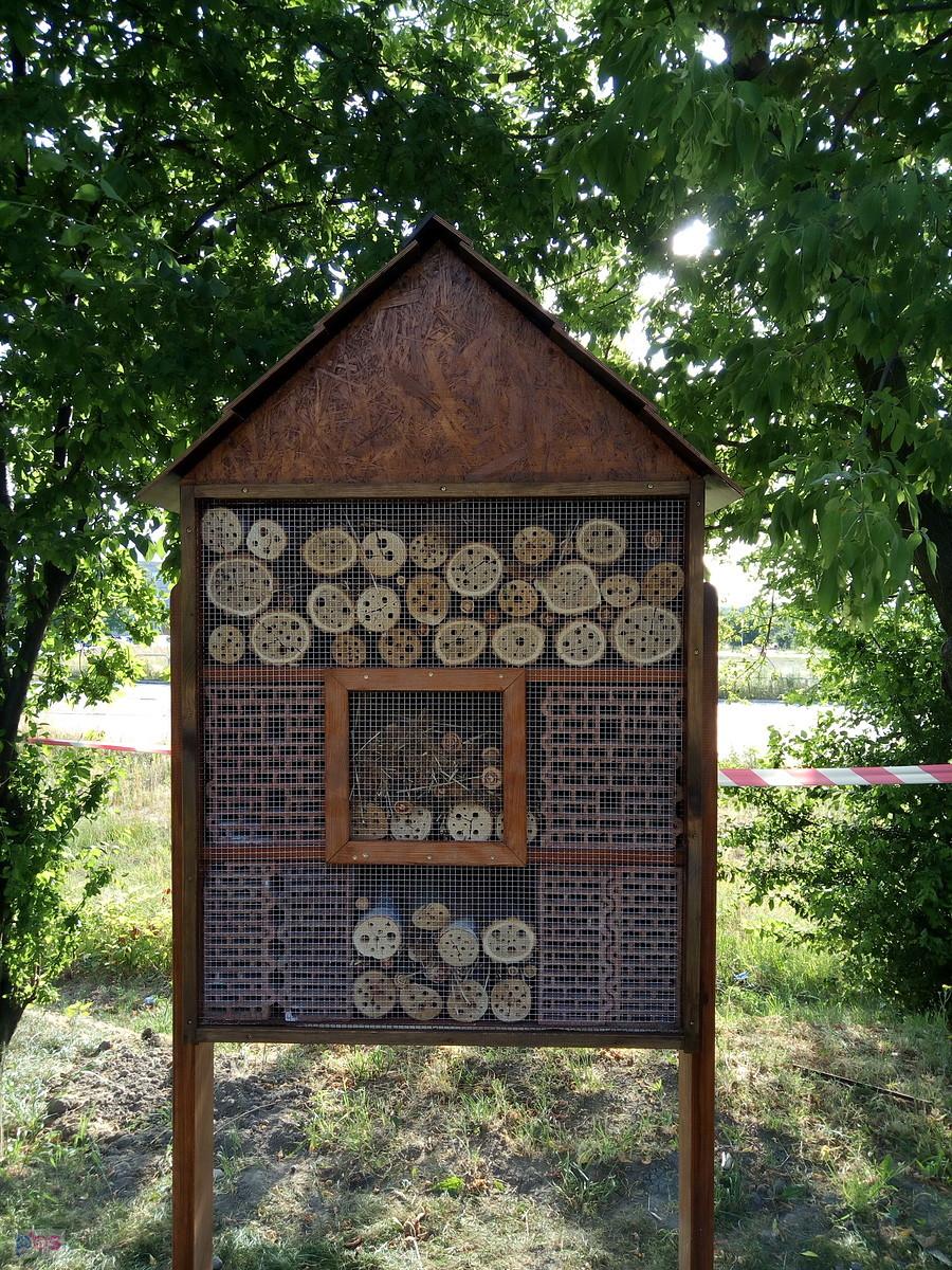 domek dla owadów