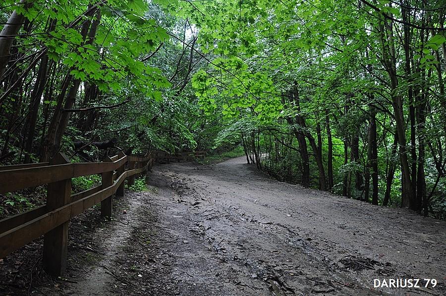 Kępa Radłowska - Gdynia