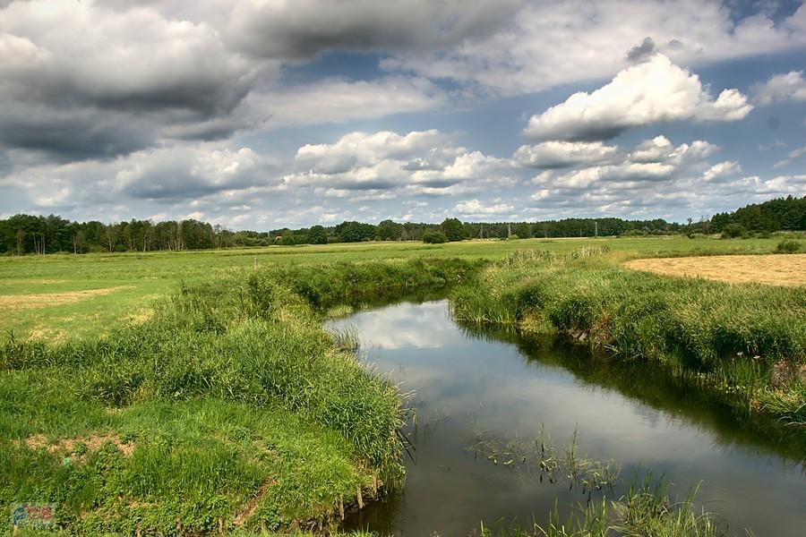 Nad Iną przed Klępinem