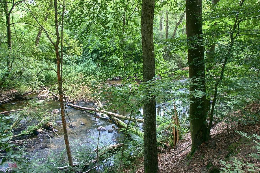 Dolina Krąpieli