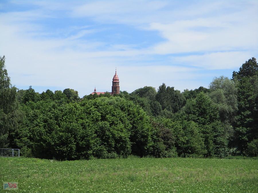 W oddali Skoszewy Stare i Sanktuarium Maryjne