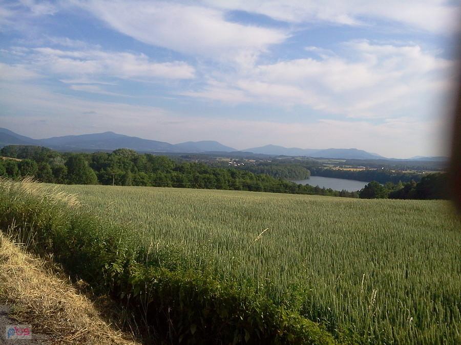 Żermanice