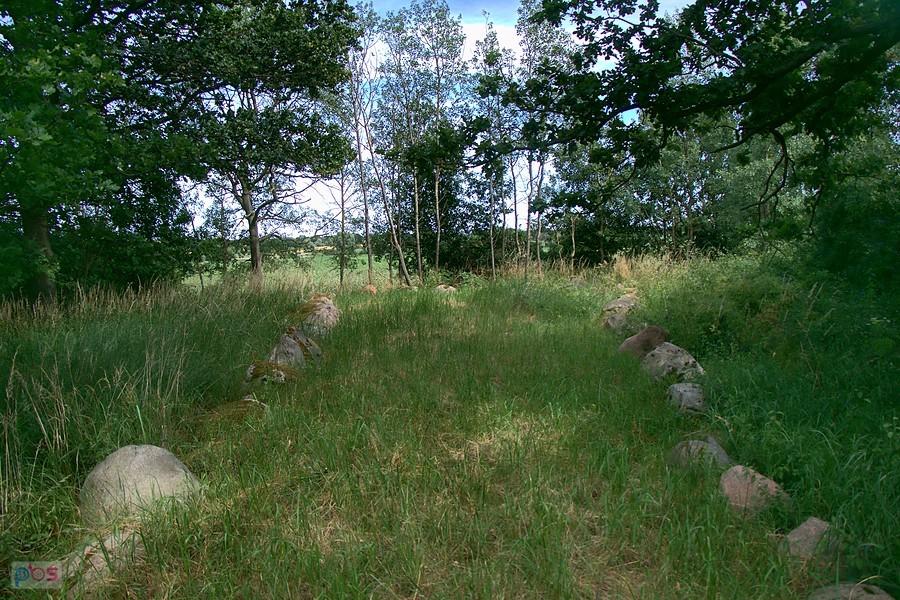 pozostałości megalitycznego grobowca