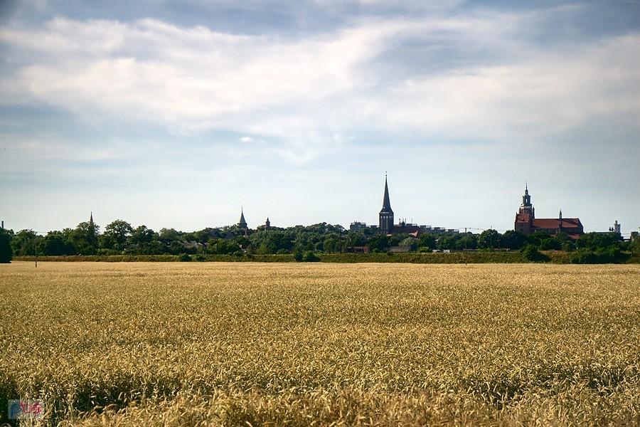 stargardzkie wieże na horyzoncie