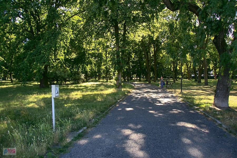 jeszcze przez Park Batorego i już prawie w domu :)