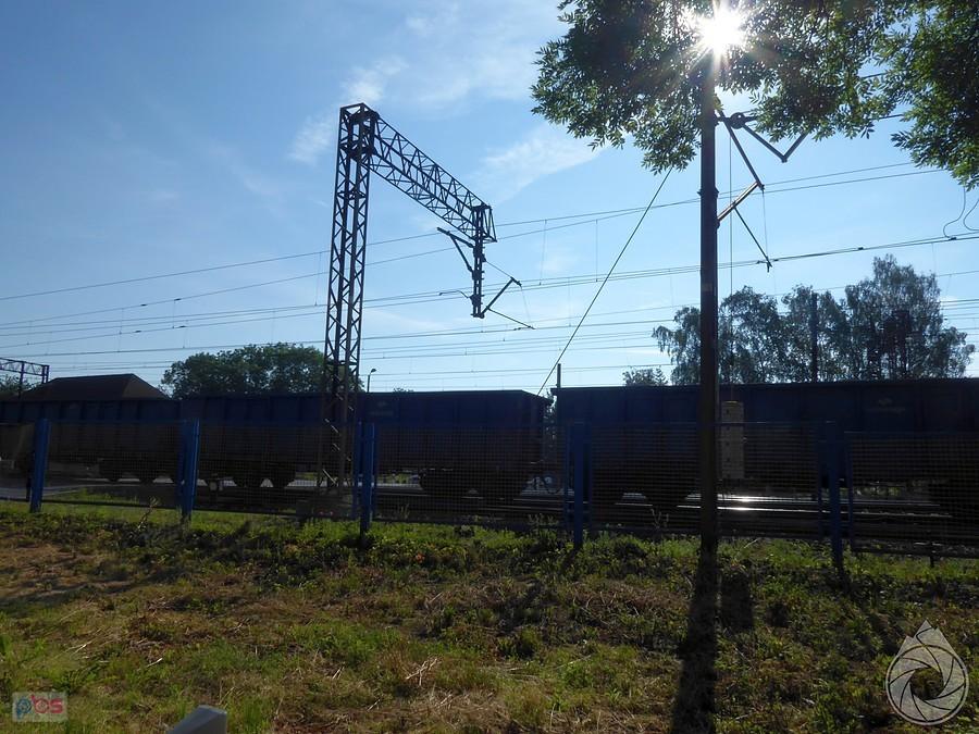 Polski wungiel jedzie dalej na Śląsk
