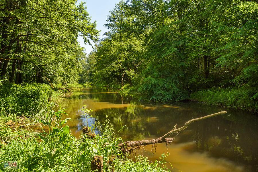 Warta w Grądach-Łazach