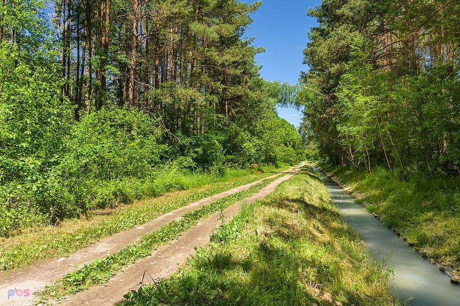 Ciek wodny z cementowni "Warta" w Grądach-Łazach