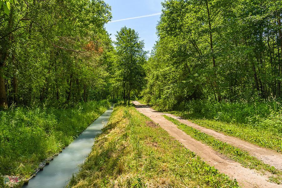 Grądy-Łazy - obok cieku wodnego z cementowni "Warta"